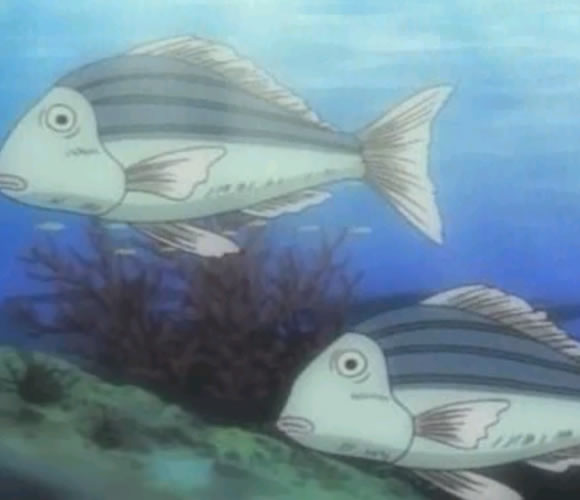 Fishy