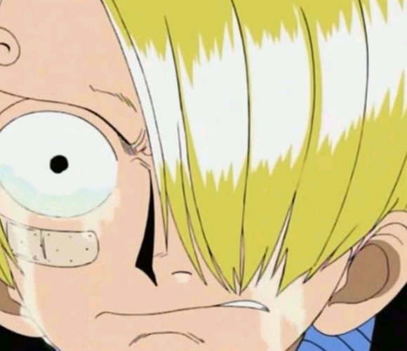Sanji's Farewell