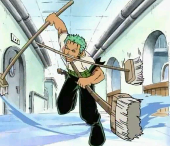 Zoro Mopping Floors