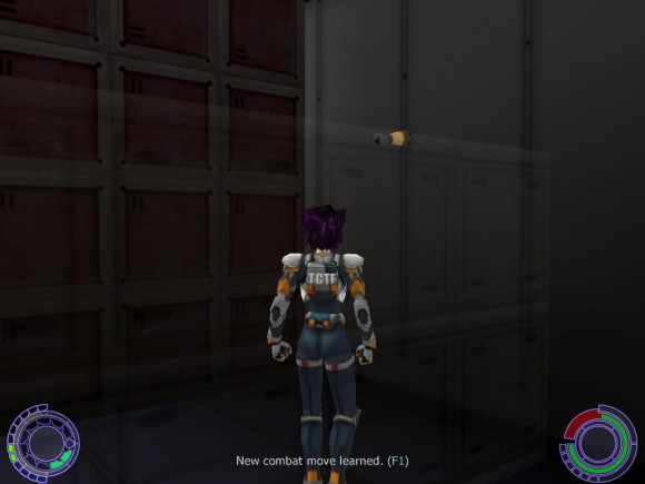 The Wall Is Armed
