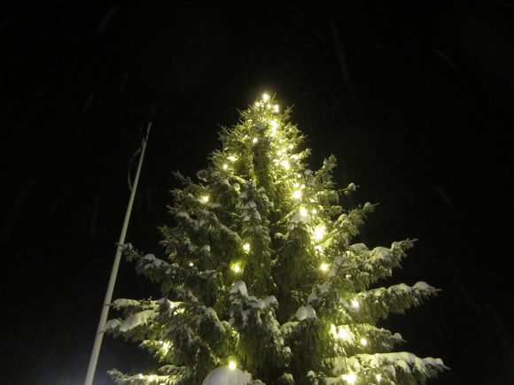 The Tree
