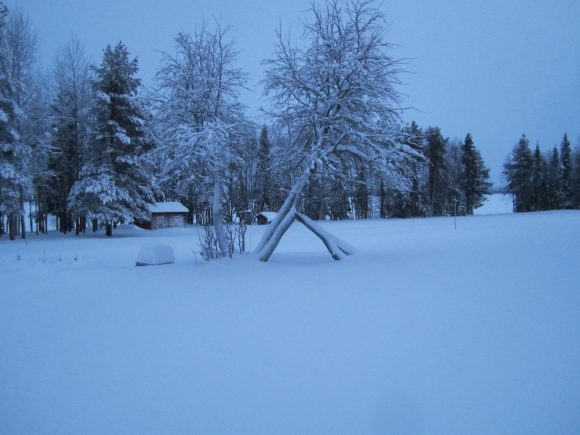 The Lawn