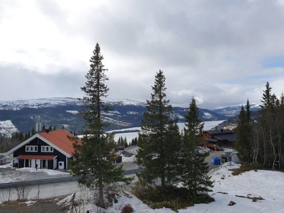 The View