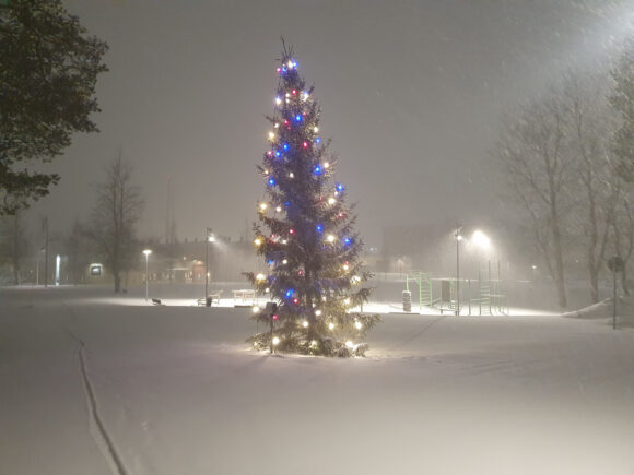 A Christmas Tree!